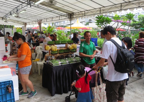 Goodman Green Green Market