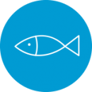 icon_fish-sector