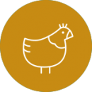 icon_livestock-sector