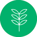 icon_vegetables-sector